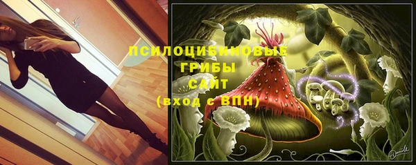 бутират Алзамай