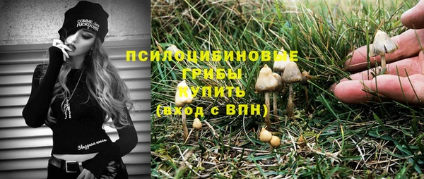 стафф Абдулино