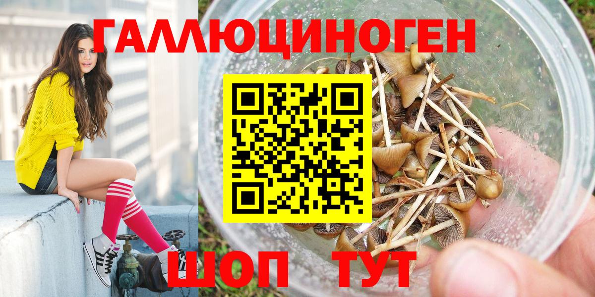 Псилоцибиновые грибы мухоморы  Вход с VPN  продажа наркотиков  Липецк 